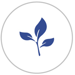 agriculture icon
